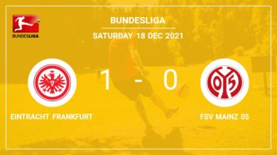 Eintracht Frankfurt 1-0 FSV Mainz 05: overcomes 1-0 with a goal scored by J. Lindstrom