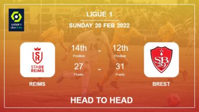 Head to Head stats Reims vs Brest: Prediction, Odds – 20-02-2022 – Ligue 1