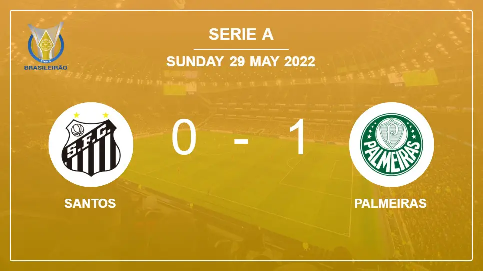 Santos-vs-Palmeiras-0-1-Serie-A