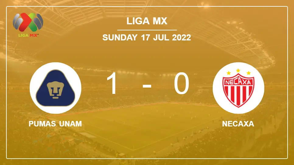 Pumas-UNAM-vs-Necaxa-1-0-Liga-MX