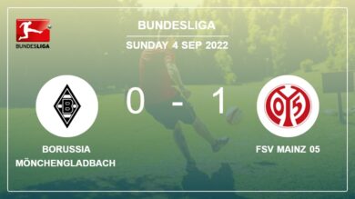 FSV Mainz 05 1-0 Borussia Mönchengladbach: beats 1-0 with a goal scored by A. Martin