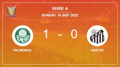 Palmeiras 1-0 Santos: beats 1-0 with a goal scored by M. Merentiel