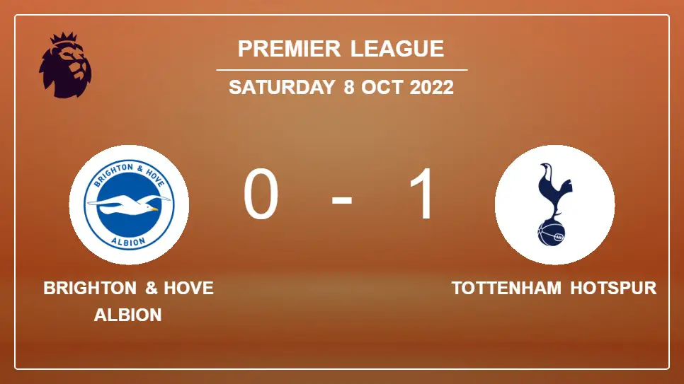 Brighton-&-Hove-Albion-vs-Tottenham-Hotspur-0-1-Premier-League