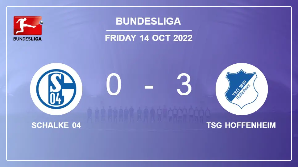 Schalke-04-vs-TSG-Hoffenheim-0-3-Bundesliga