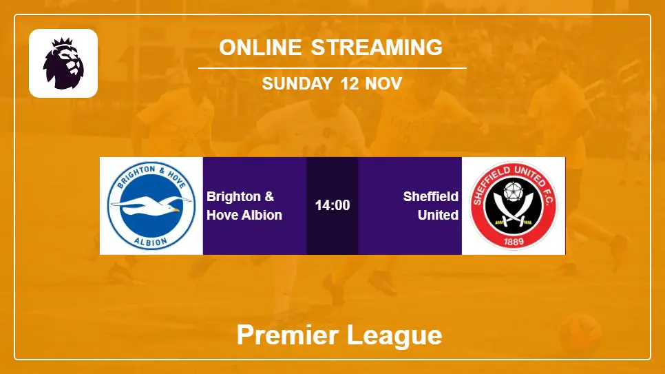 Brighton-&-Hove-Albion-vs-Sheffield-United online streaming info 2023-11-12 matche