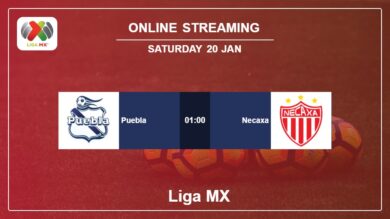 How to watch Puebla vs Necaxa live stream in Liga MX 2023-2024